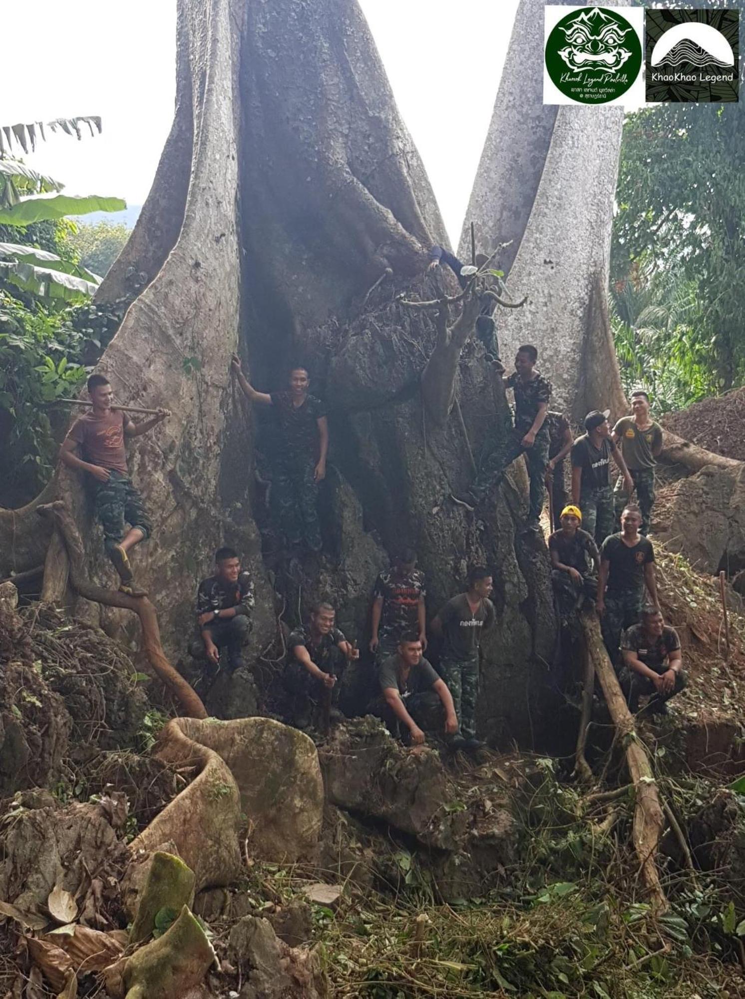 Khaosok Legend Villa Khao Sok National Park Bagian luar foto